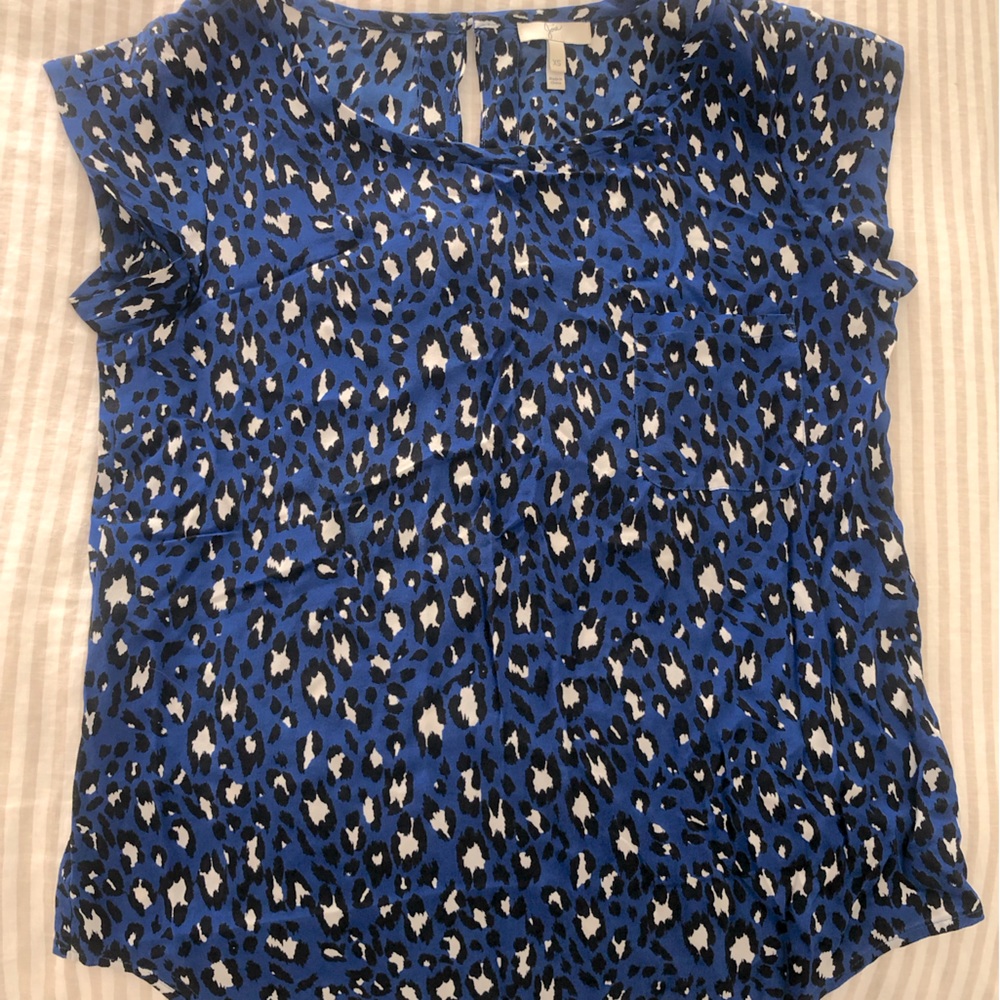 Joie Silk Top